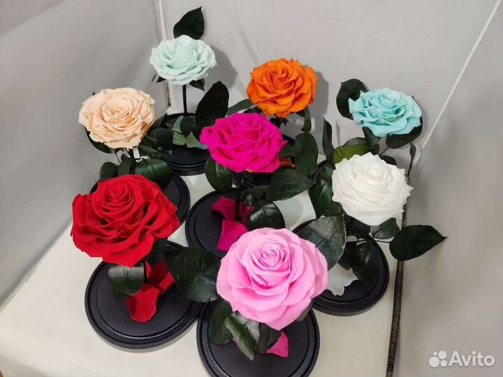 Роза в колбе