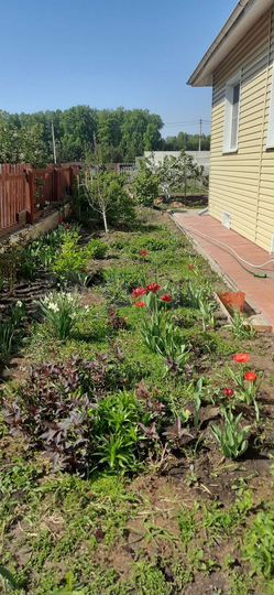 Дом 170 м² на участке 6 сот.