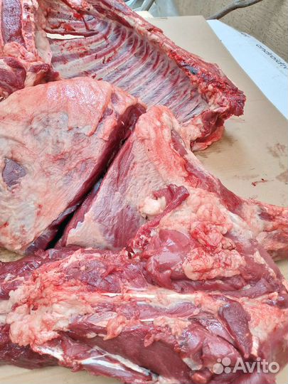 Мясо дикого кабана (арт 005)