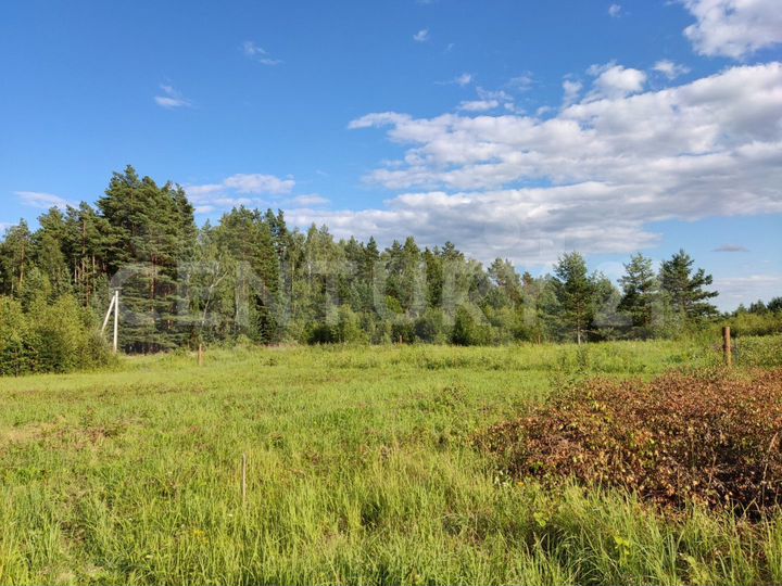 Участок 16,3 сот. (ИЖС)