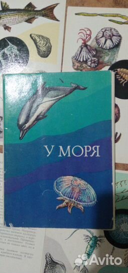 Открытки про водоемы, рыб, аквариум