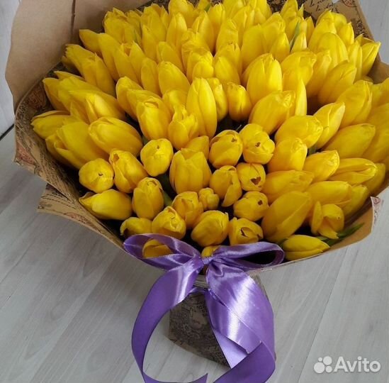 Тюльпаны, 25 51 101 Тюльпан