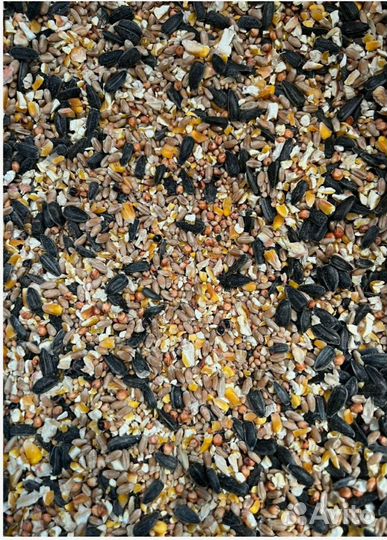 Зерносмесь