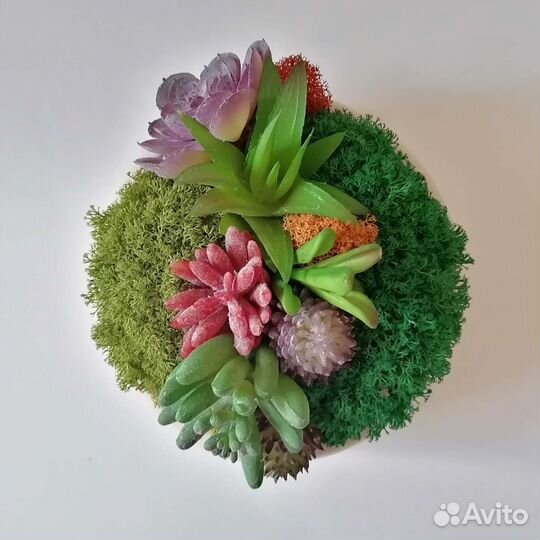 Композиция в кашпо с суккулетами и мхом