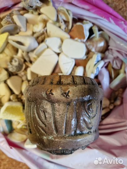 Морские ракушки раковины и останки посуды