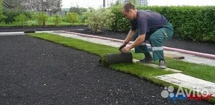 Укладка газона
