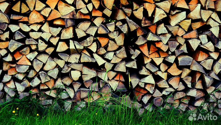 Дрова осина