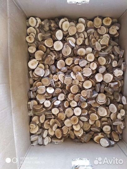 Можжевельник