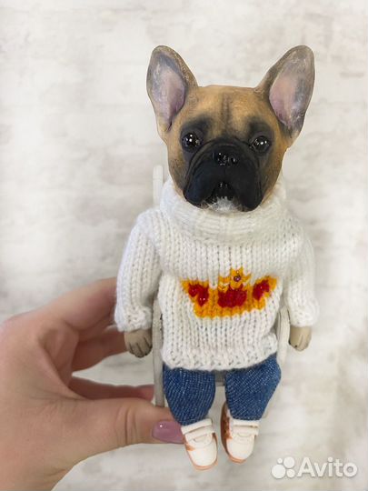 Французский бульдог Бланк