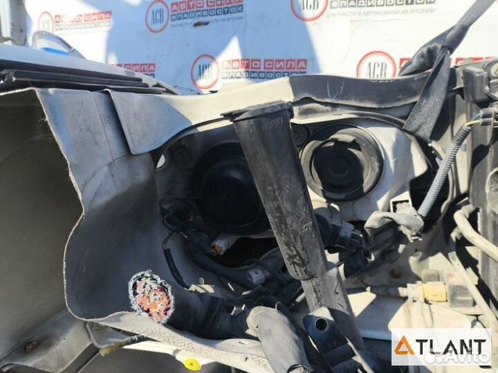 Nose cut toyota crown