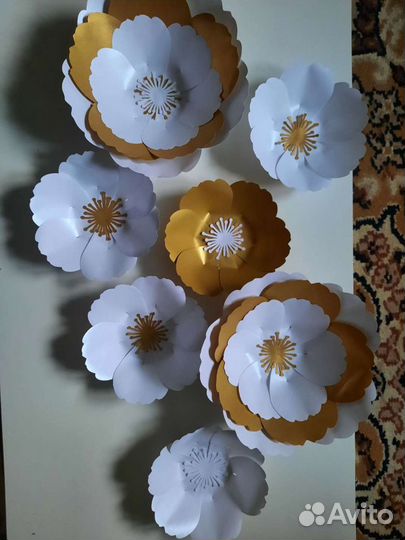 Интерьерные цветы