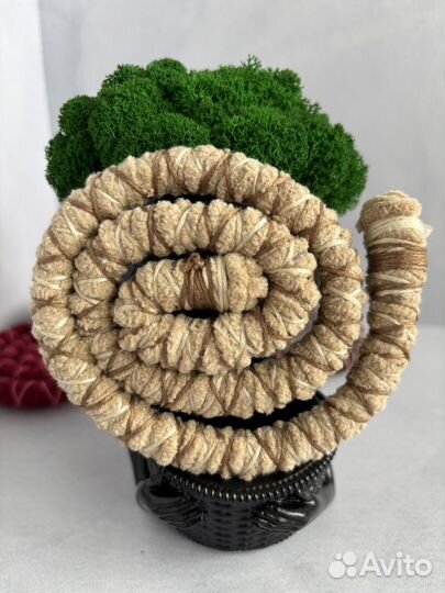 Луполокс спираль для дредов и кос