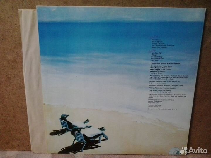 Виниловая пластинка Airkraft (83)