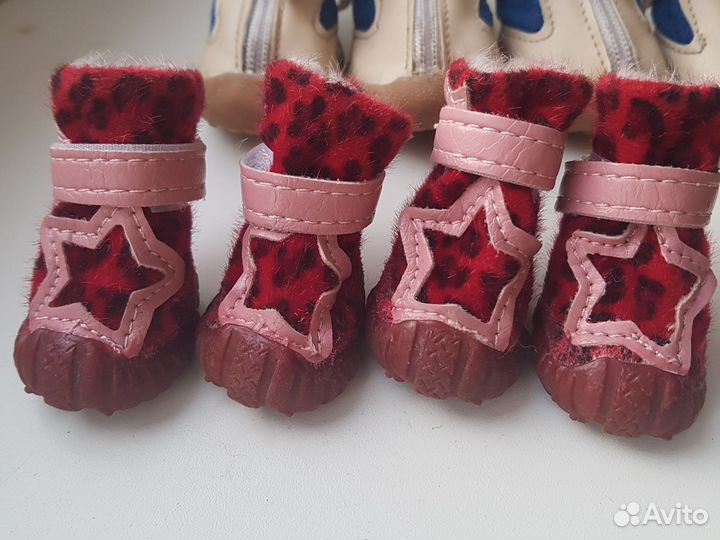 Обувь для маленьких собак