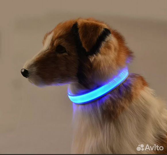 Светящийся ошейник для собак