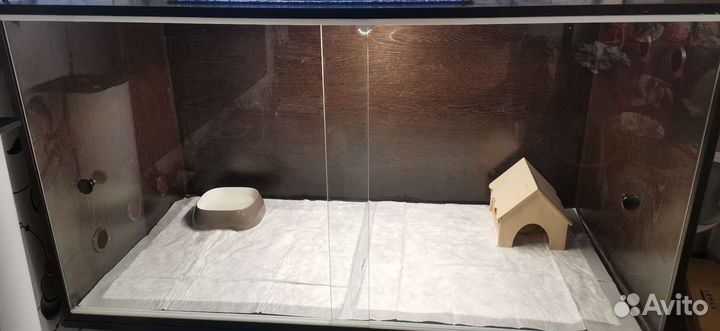 Террариум для змеи