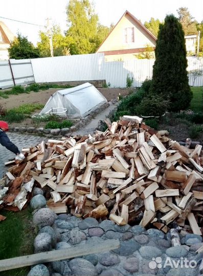 Дрова колотые Осина