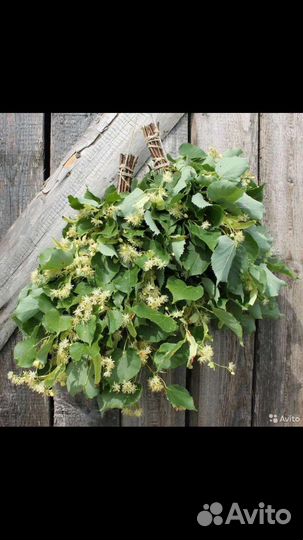 Веники для бани и сауны