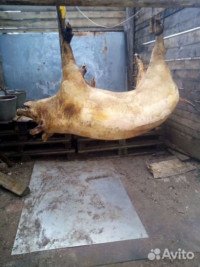 Шикарное домашнее мясо