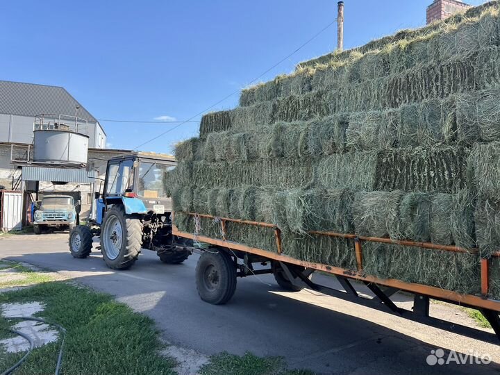 Сено в тюках бесплатная доставка