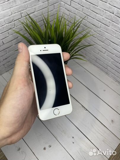 iPhone 5s 16gb gold