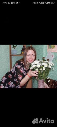 Администратор