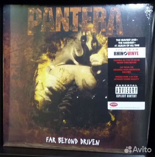 Pantera 