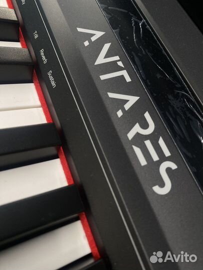 Antares D300 Цифровое пианино