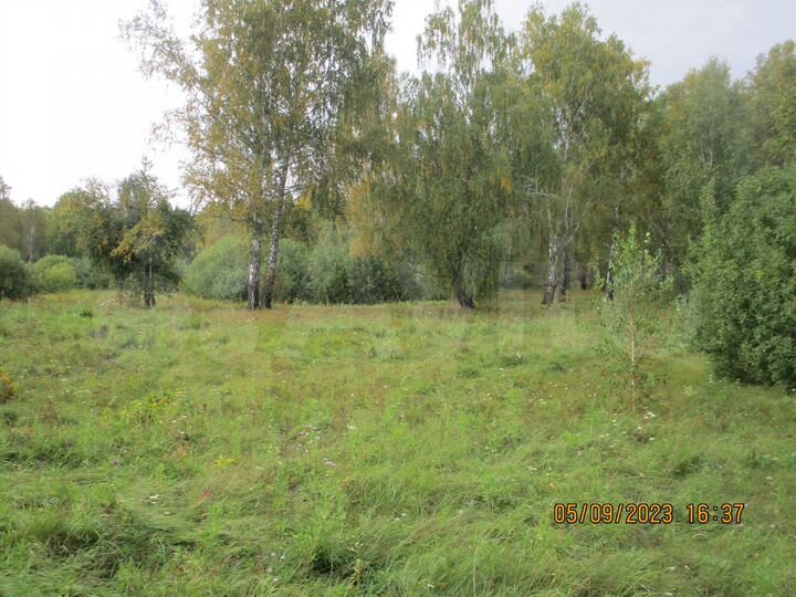 Участок 55 га (СНТ, ДНП)