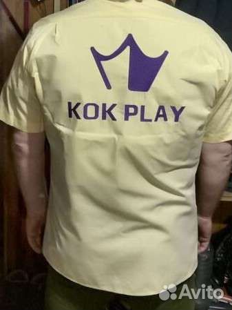 Вышивальная машина Brother V3