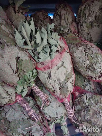 Веники дубовые