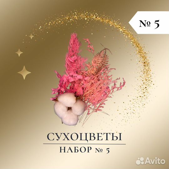 Сухоцветы для творчества