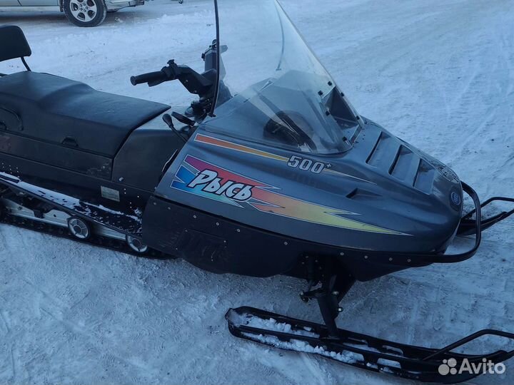 Рысь 500+