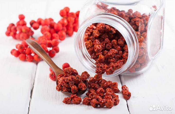 Рябина красная высушенная