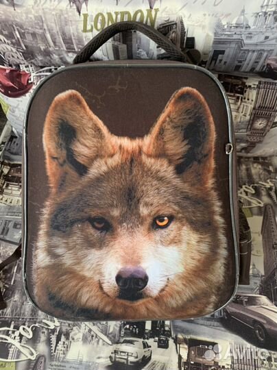 Рюкзак школьный для мальчика