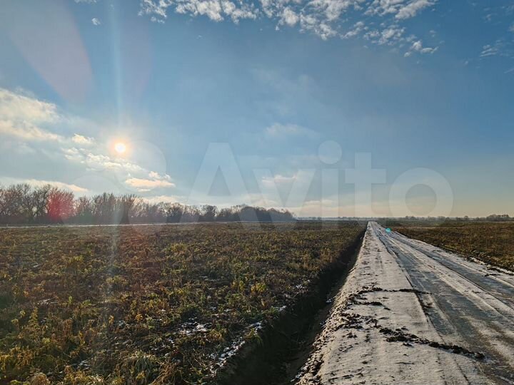 Участок 6 сот. (СНТ, ДНП)