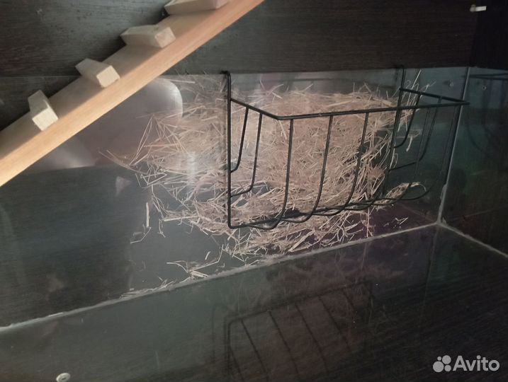 Домик-вольер для морской свинки