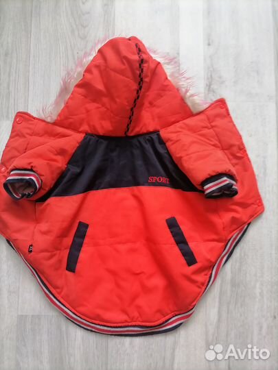 Курточка на собачку