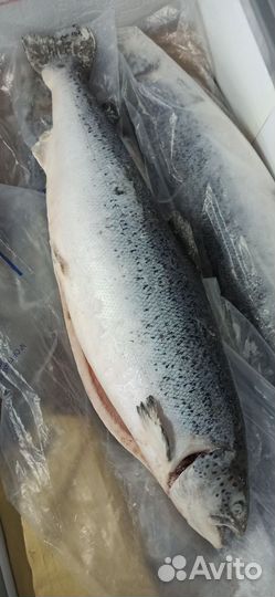 Икра красная горбуши