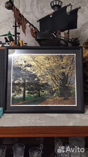 Картина галаграфическая 2 вида