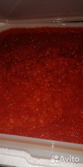 Красная икра (горбуши и кеты)