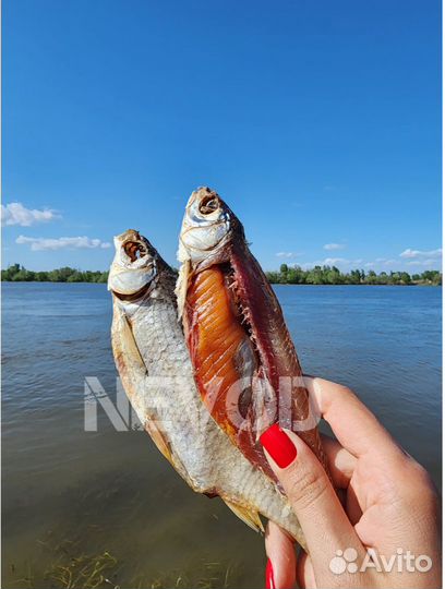 Астраханская вяленая вобла