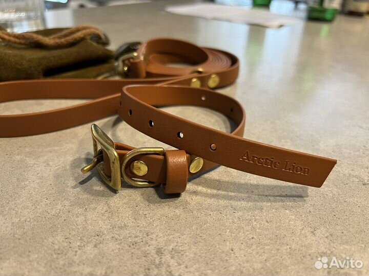 Амуниция для собак