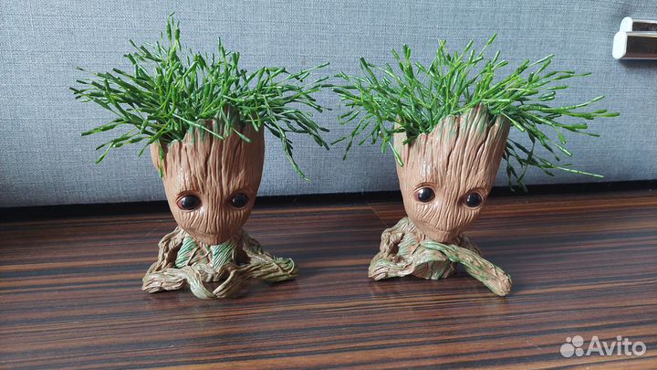 Кашпо Грут с растением Малочай