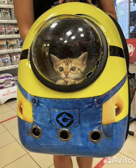 Зоогостиница (передержка)