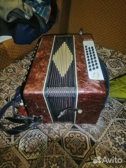 Гармонь чайка 2