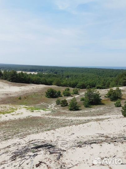 Экскурсии по Калининграду и области