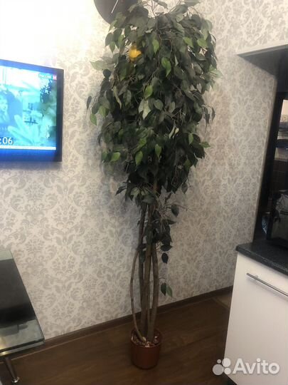 Искусственное дерево