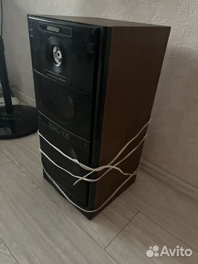 Колонки Вега 50ас 106