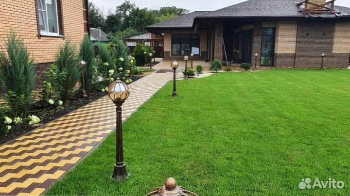 Красивый рулонный газон от профессионалов